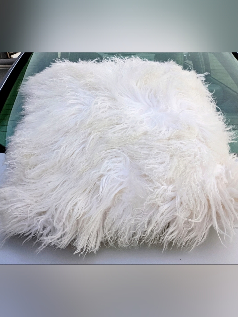West Elm Furry Pillow